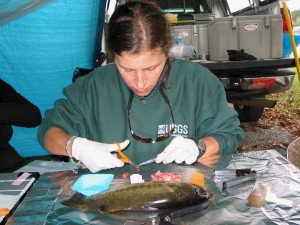 327_dissecting_fish