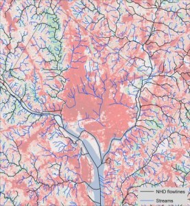 A new map of the Potomac River watershed stream network, including Washington, D.C., significantly improves the information needed for assessing the impact of urbanization on aquatic ecosystems.