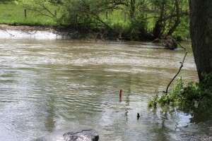 Spout Run at Carter Hall