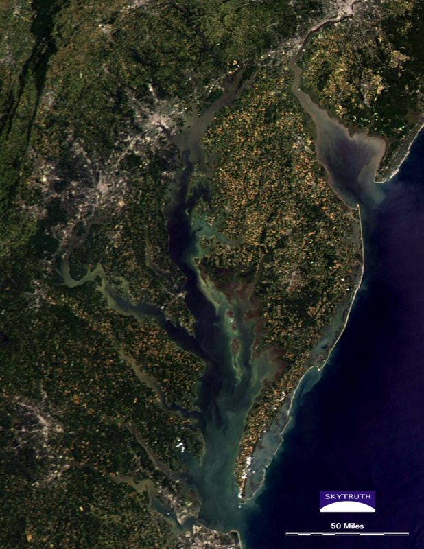 Chesapeake and Delaware Bay sediment & algae bloom July 2014. Courtesy of SkyTruth