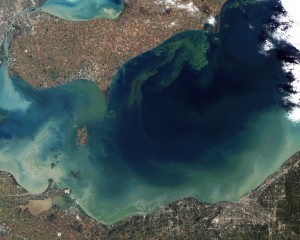 Algal bloom Lake Erie in 2011; NASA Earth Observatory